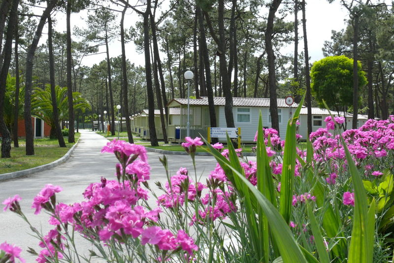 Parque De Campismo Orbitur Gala Hotell Figueira da Foz Exteriör bild